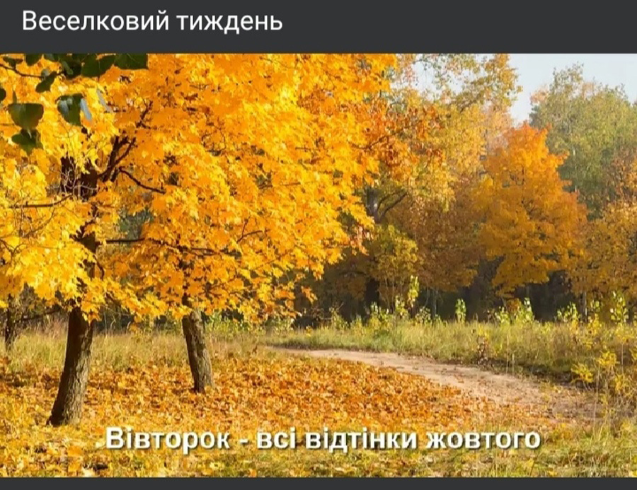 IMG 20201113 190738