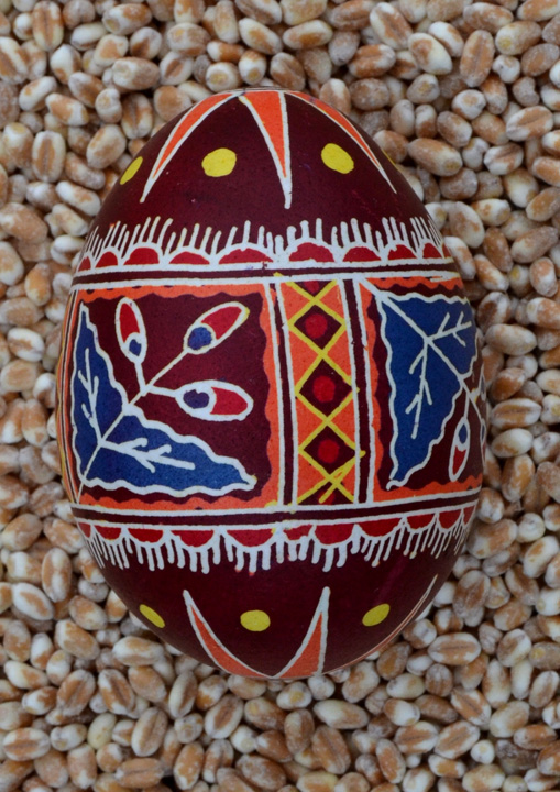 Дуб