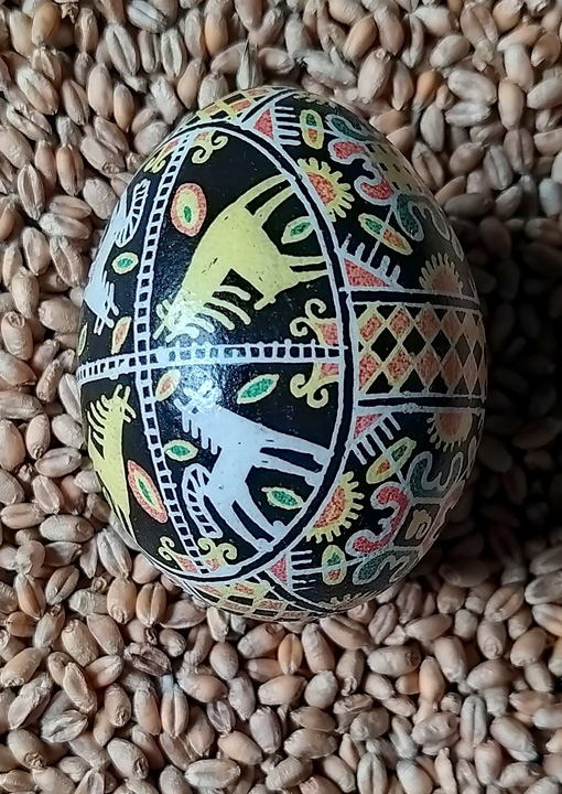 Коники